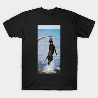 Fetch! T-Shirt